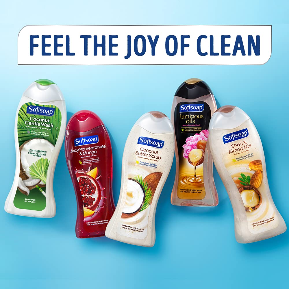 Softsoap Moisturizing Body Wash, Vanilla and Jojoba Oil - 20 Fluid Ounce (4 Pack)